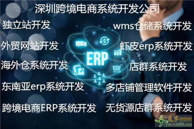 WMS倉(cāng)儲(chǔ)系統(tǒng)開(kāi)發(fā)與定制 構(gòu)建智慧物流的核心引擎